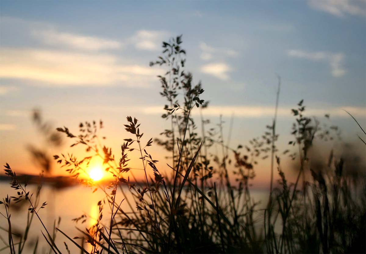 Mitä Raamattu opettaa taivaasta?